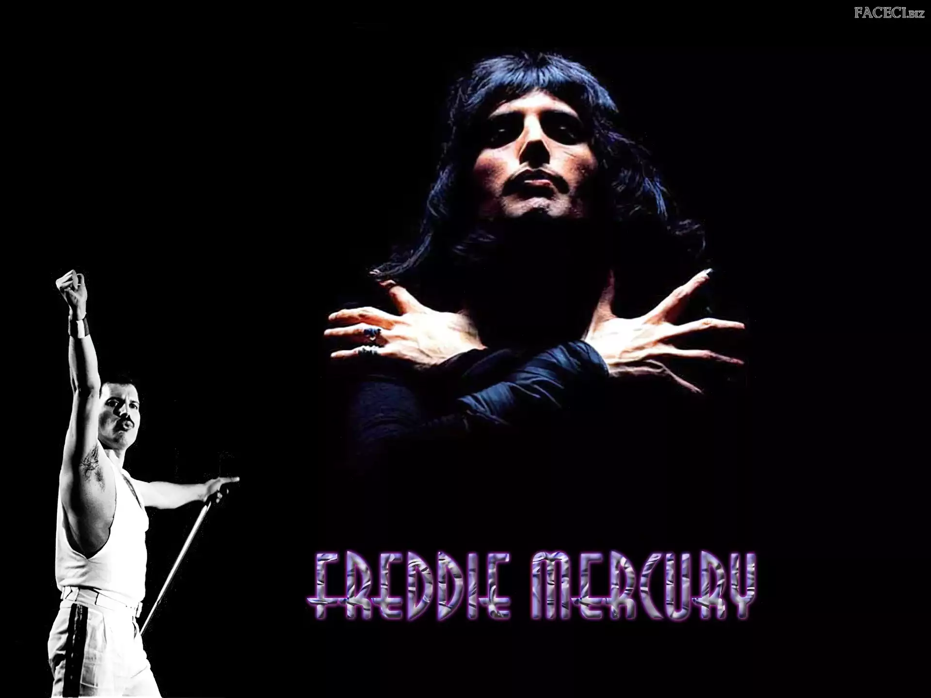 Włosy, Freddie Mercury, Długie